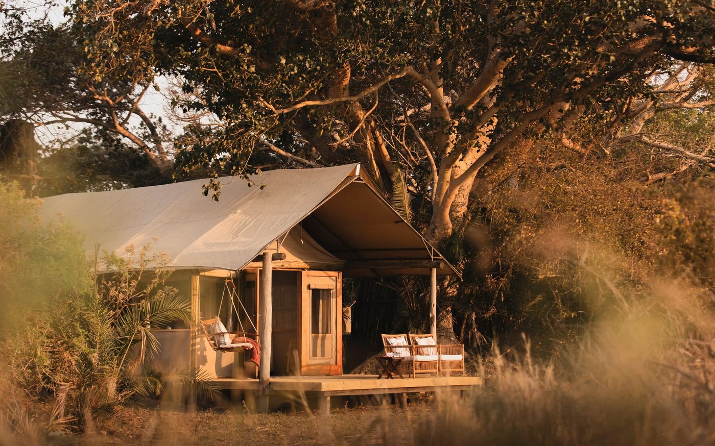 Safari tent glows at dusk among trees at Busanga Bush Camp in Kafue.