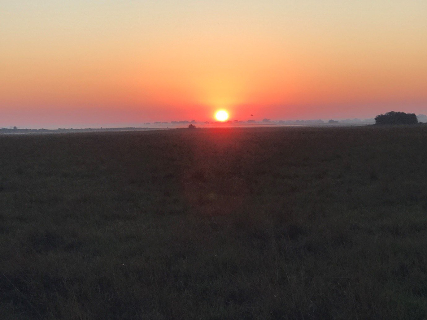 Sunrise glows over the seasonal floodplain seen from Busanga Bush Camp.