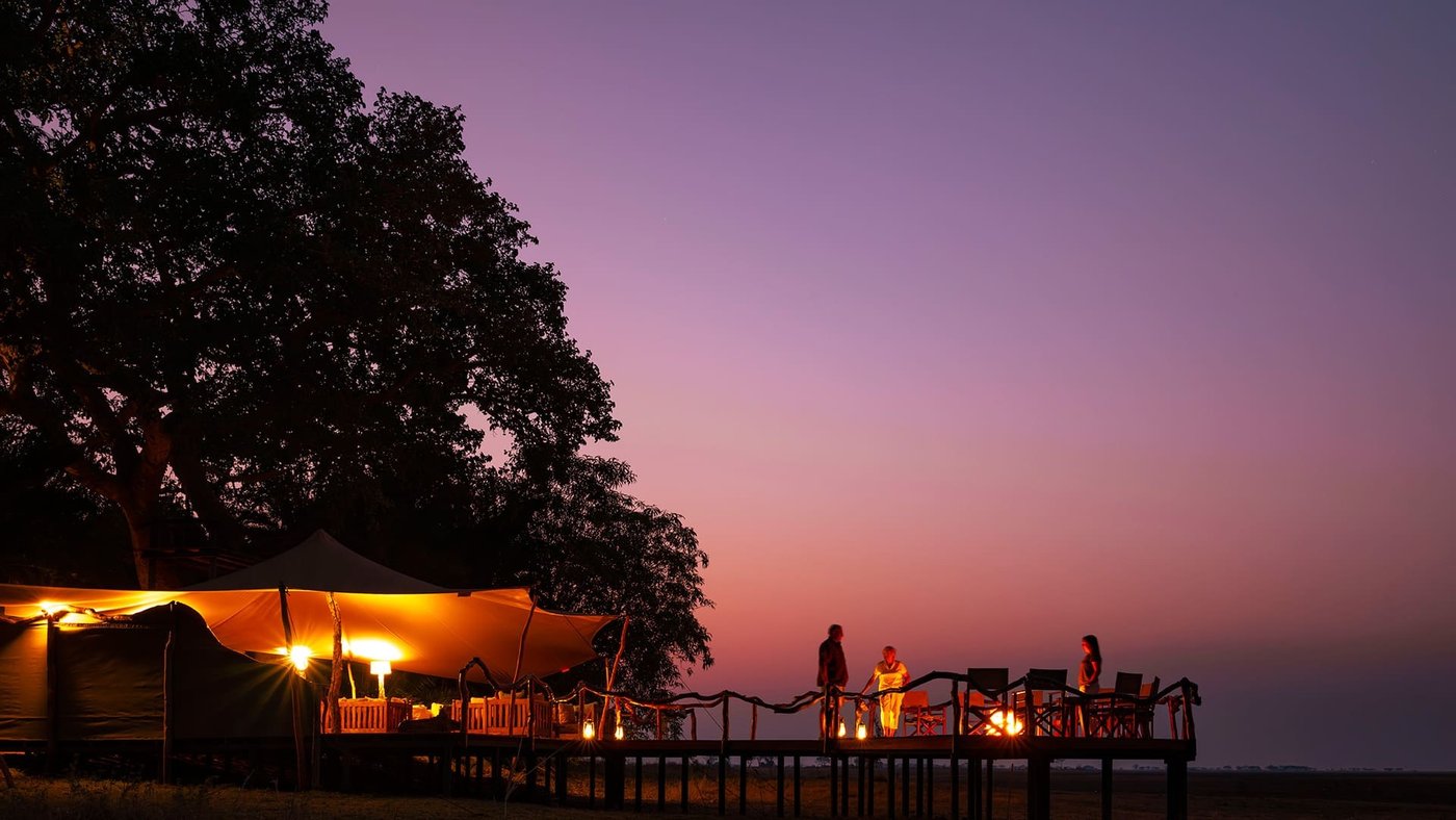 Lantern-lit dining deck glows at dusk under a fig tree at Busanga Plains Camp in Kafue.