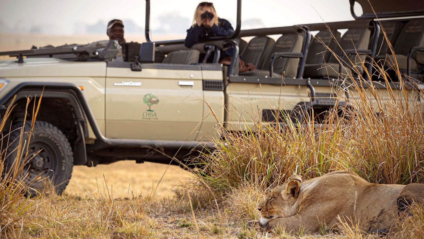 Guests in a safari vehicle watch a lion resting in the grass at Chisa Busanga Camp.