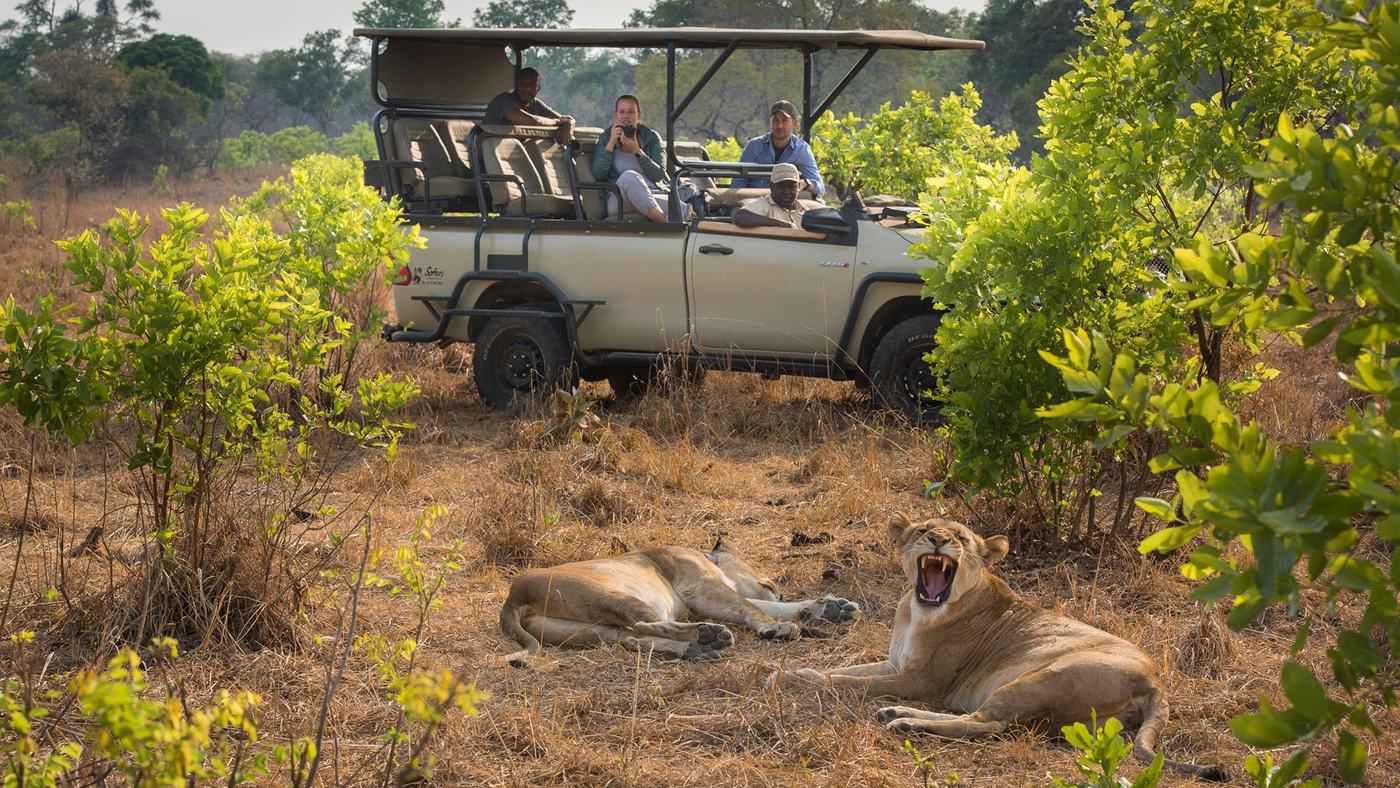 Guests in a safari vehicle watch a lion resting nearby at Ila Safari Lodge.
