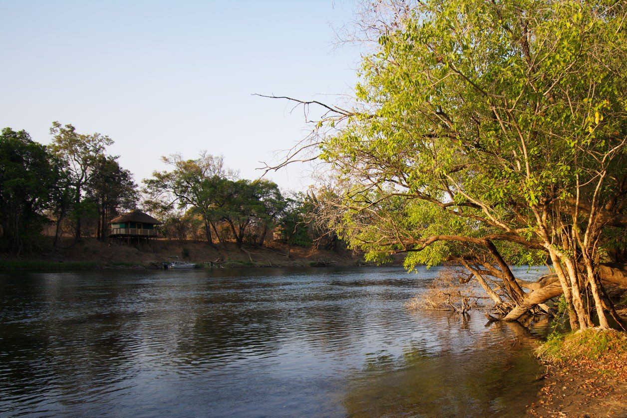 Thatched river chalets sit among trees on the Lunga River at Lunga Kikuji Camp in Kafue.