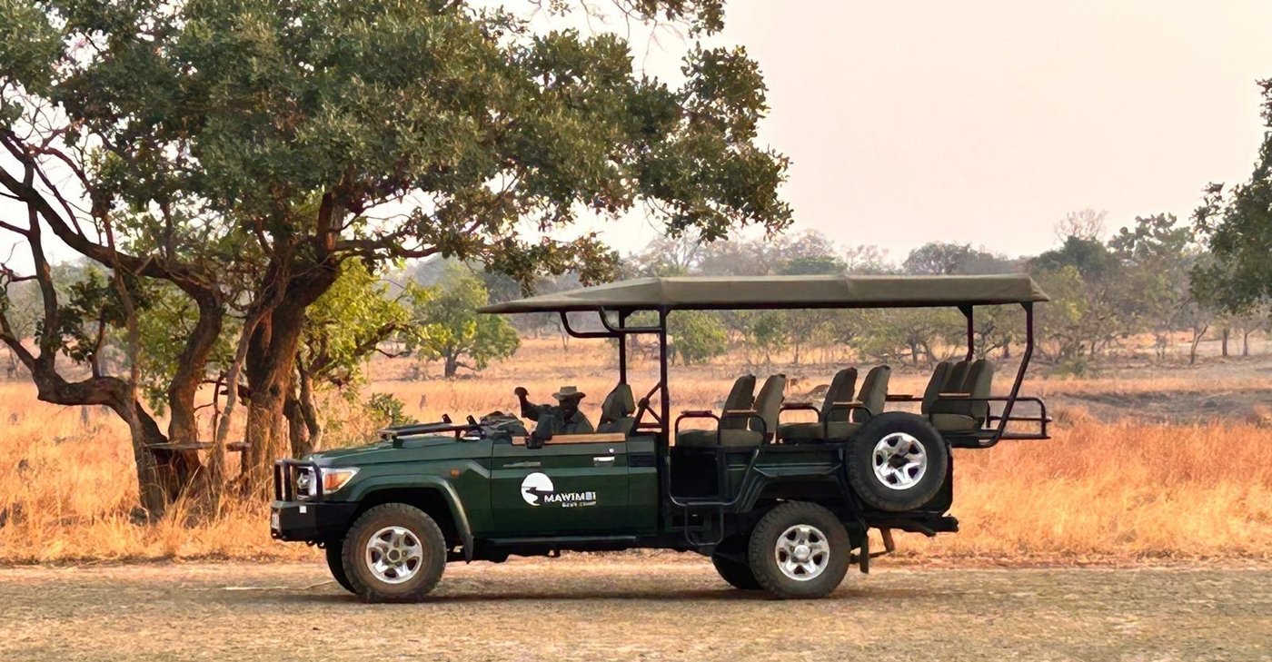 A safari vehicle waits under trees at golden hour near Mawimbi Bush Camp.