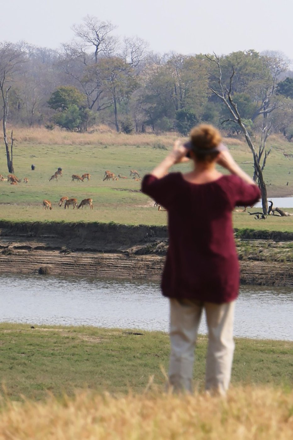A guest scans the shoreline with binoculars near Nanzhila Lake Camp.